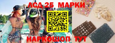 индика Будённовск