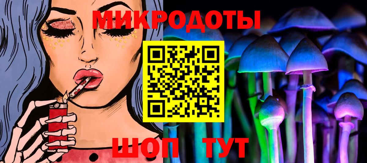 где купить   Псилоцибиновые грибы Psilocybine cubensis  Вход с VPN  Саянск 